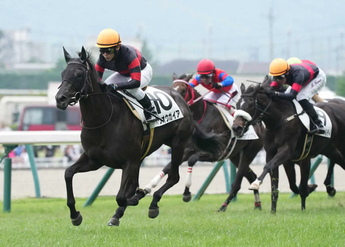 【福島新馬戦】ホウオウガイア　3馬身突き抜け快勝!大竹師「気性的に将来は短い距離になるかも」