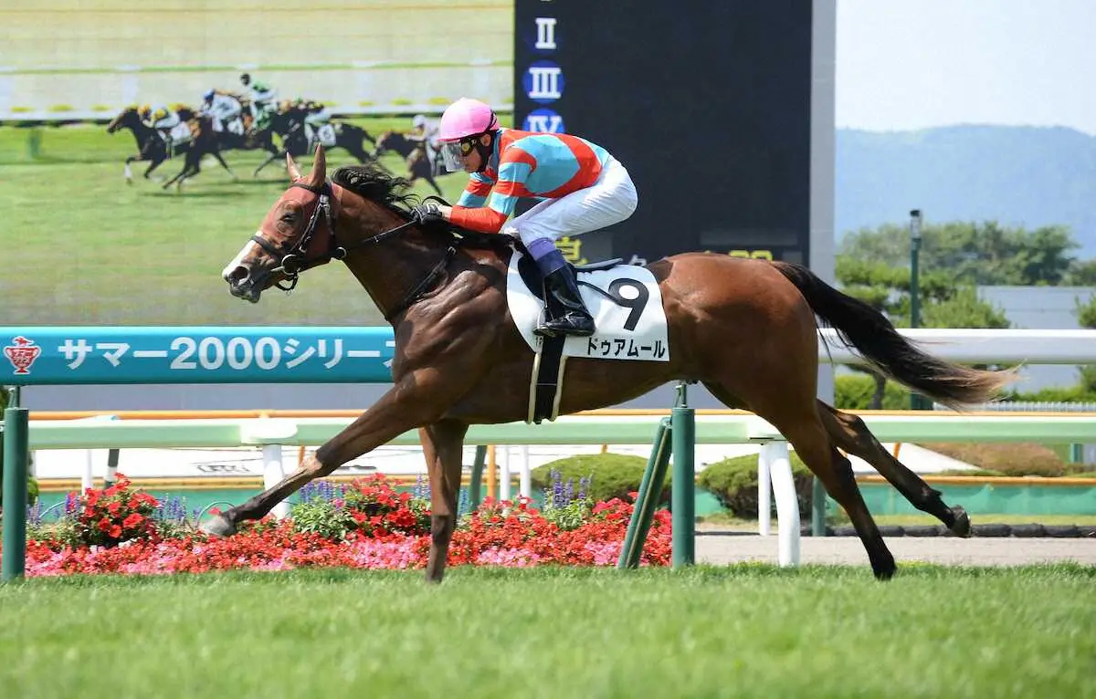 ＜函館1R2歳未勝利＞逃げ切って勝った武豊騎手騎乗のドゥアムール（撮影・千葉　茂）