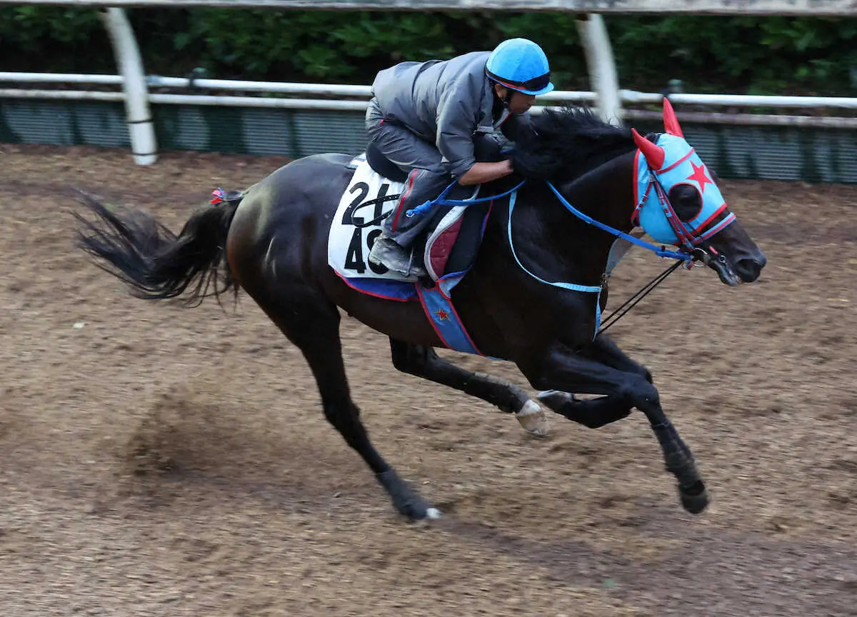 【盛岡12R・マーキュリーC】メイショウフンジン絶好最内枠　今年こそ