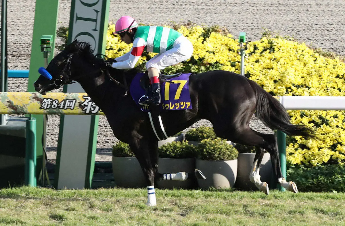 菊花賞馬ドゥレッツァが英G1インターナショナルSへ　鞍上はルメールを予定