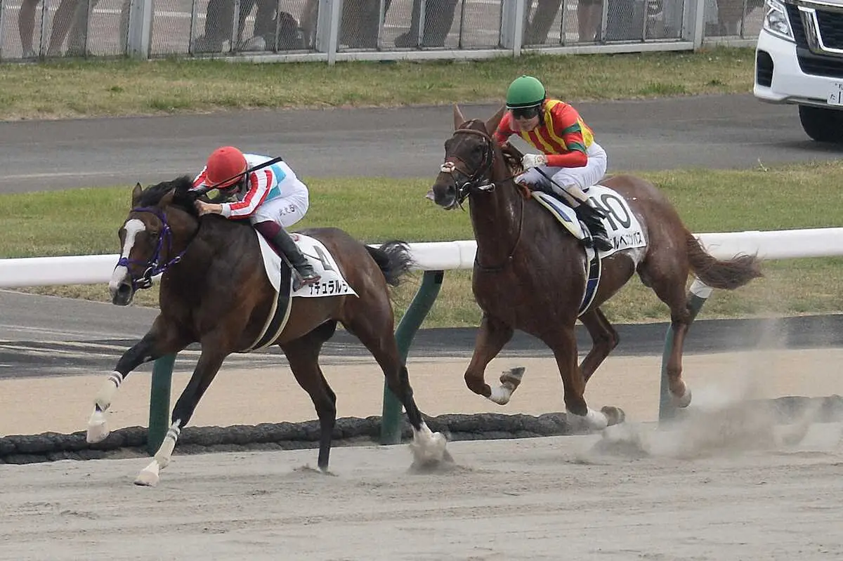 ＜札幌5R新馬戦＞ゴール前で競り合い逃げ切って勝ったナチュラルライズ（左）（撮影・千葉　茂）