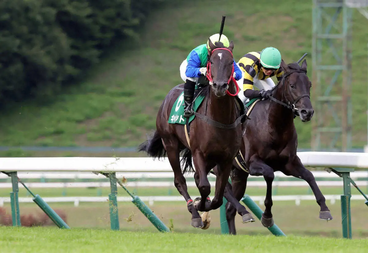 若鮎賞以来の重賞Vを狙うギャレット（左・岩手県競馬組合提供）