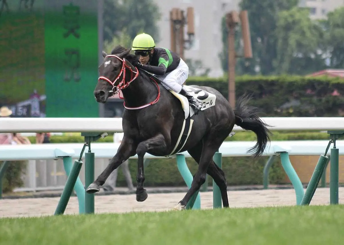 ＜札幌5R＞レコードで勝利したキングスコール（撮影・千葉　茂）　　　