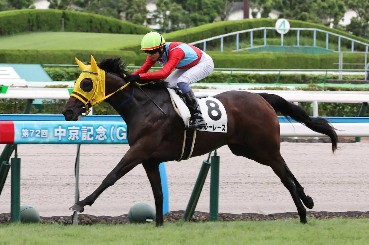 【小倉新馬戦】ブルーレース　好位から伸びて快勝　坂井は手応え「今後が楽しみ」