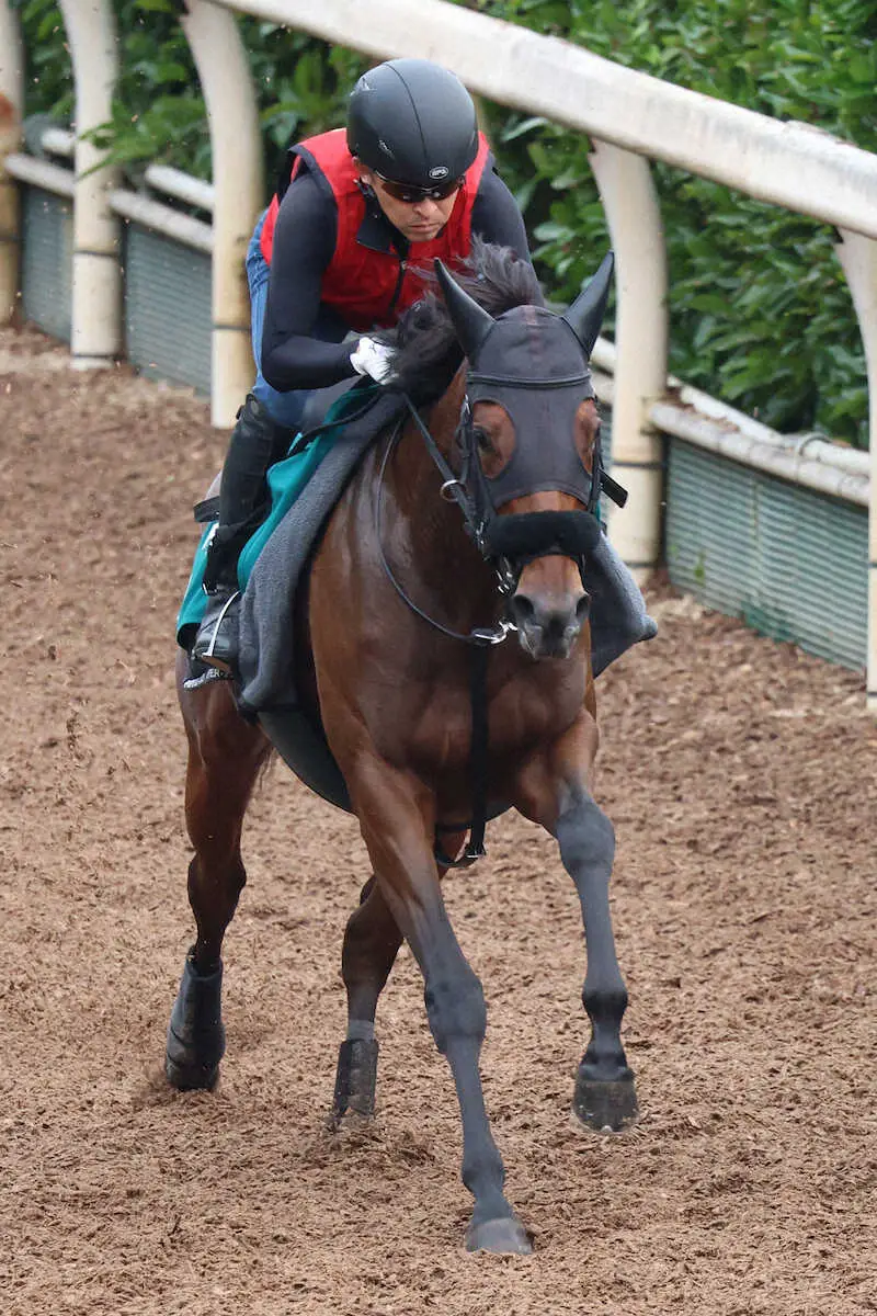 【新潟新馬戦】ルージュレアリーズ　ベール脱ぐ超良血！大きくなった馬体、仕切り直しの一戦