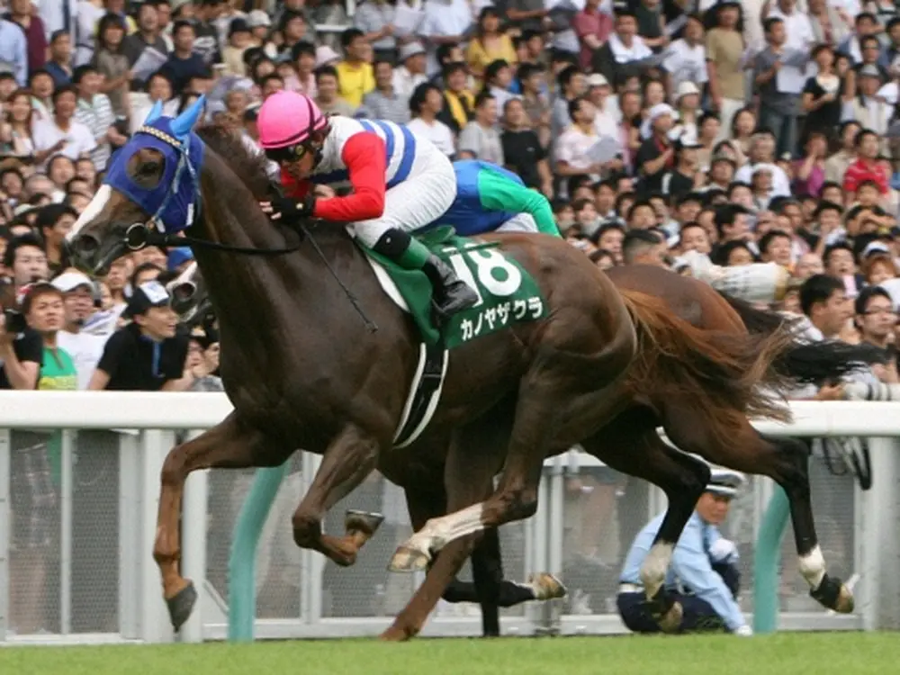 【追憶のアイビスサマーダッシュ】08年カノヤザクラ　スタート決めた、馬群さばいた、小牧太が輝いた