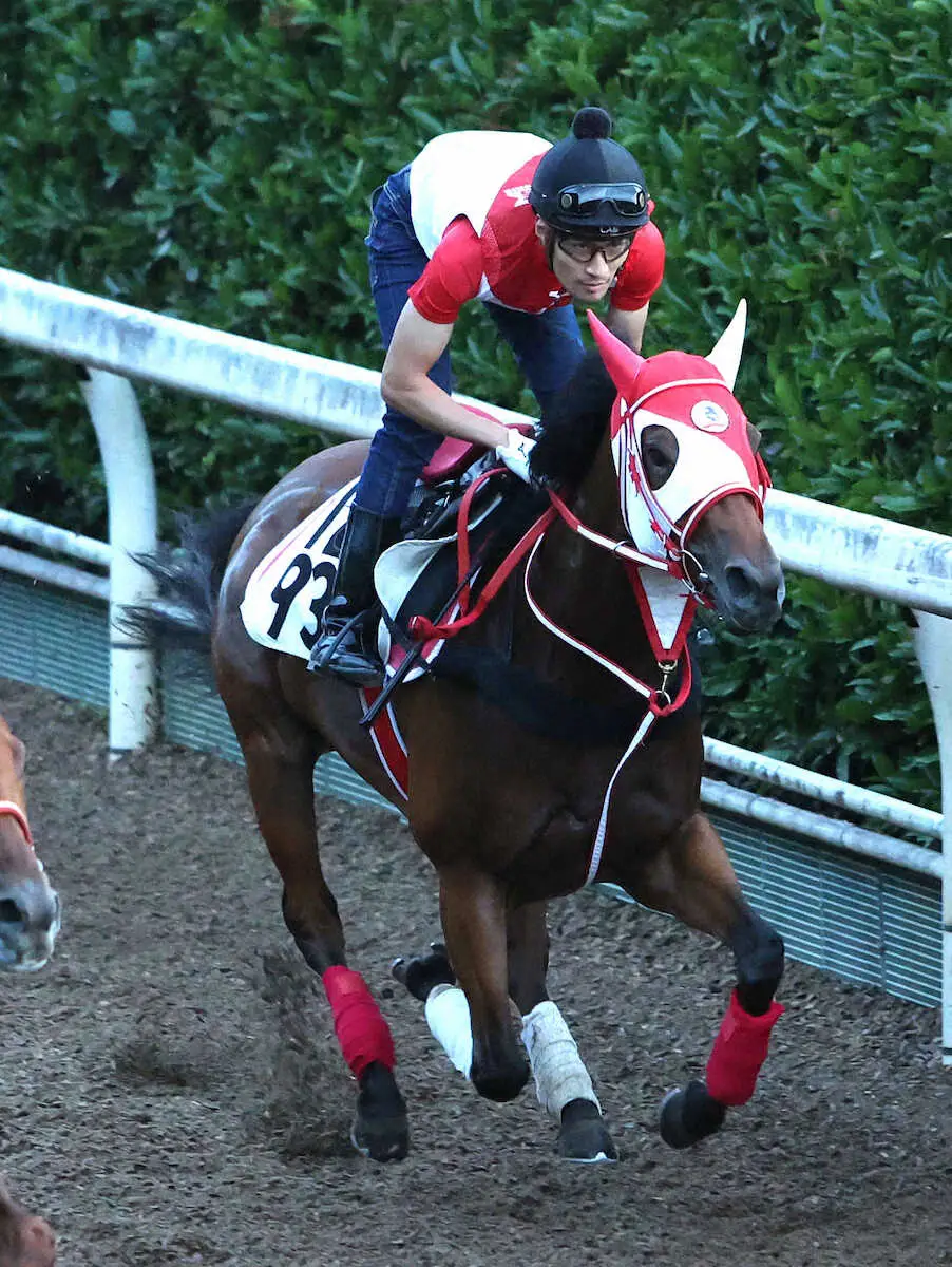 坂路を単走で追い切るチェイスザドリーム