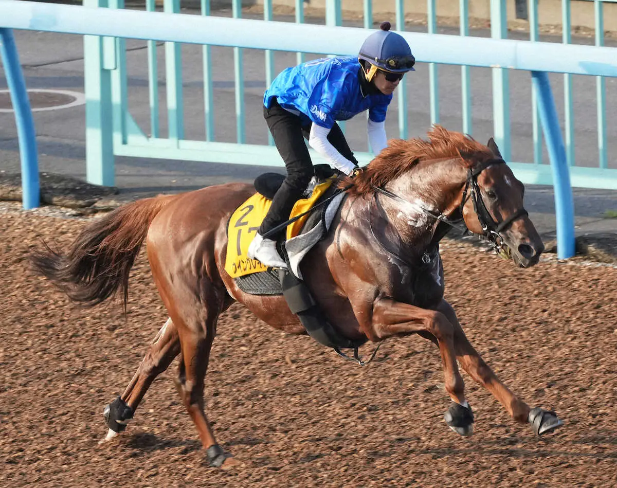 松岡を背にウッドチップコースで追い切るウイングレイテスト（撮影・郡司　修）