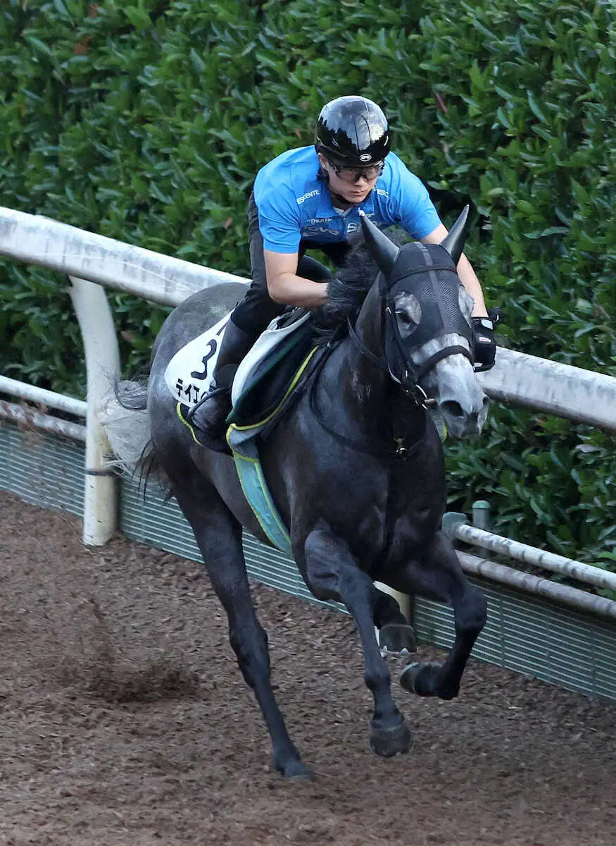 坂路を単走で追い切るテイエムスパーダ