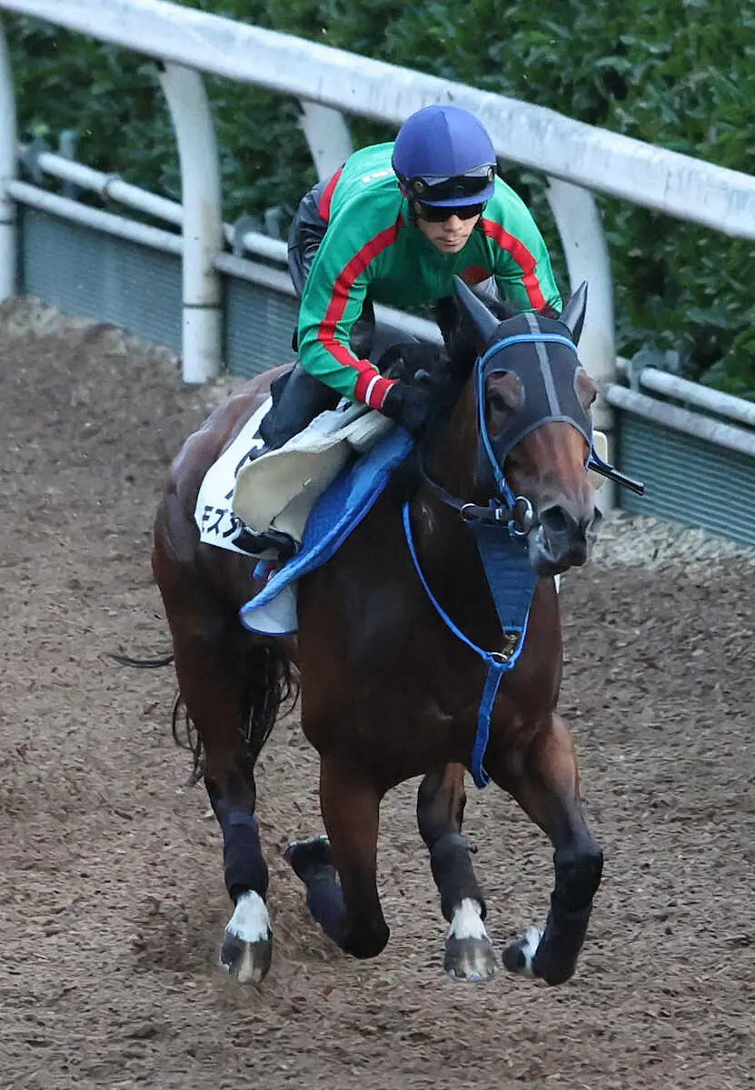 【アイビスSD】モズメイメイ　馬なりで好時計、音無師はオーバーワーク嫌う「やり過ぎたらアカン」