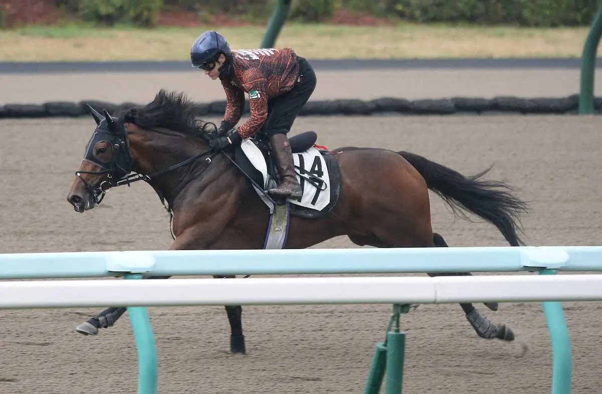 札幌ダートコース単走で追い切ったドゥアイズ　　　（撮影・千葉茂）