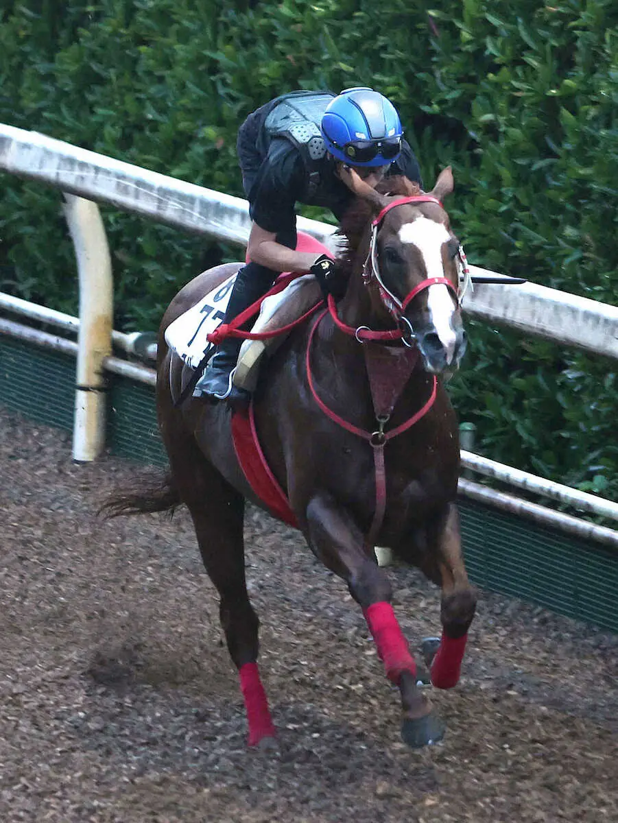 団野を背に坂路を単走で追い切るジャスパークローネ