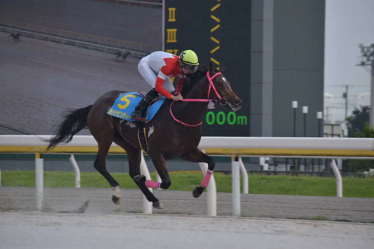 【地方競馬コラム】船橋のガバナビリティー満点デビュー　佐藤裕太厩舎の偉大な先輩馬に続け