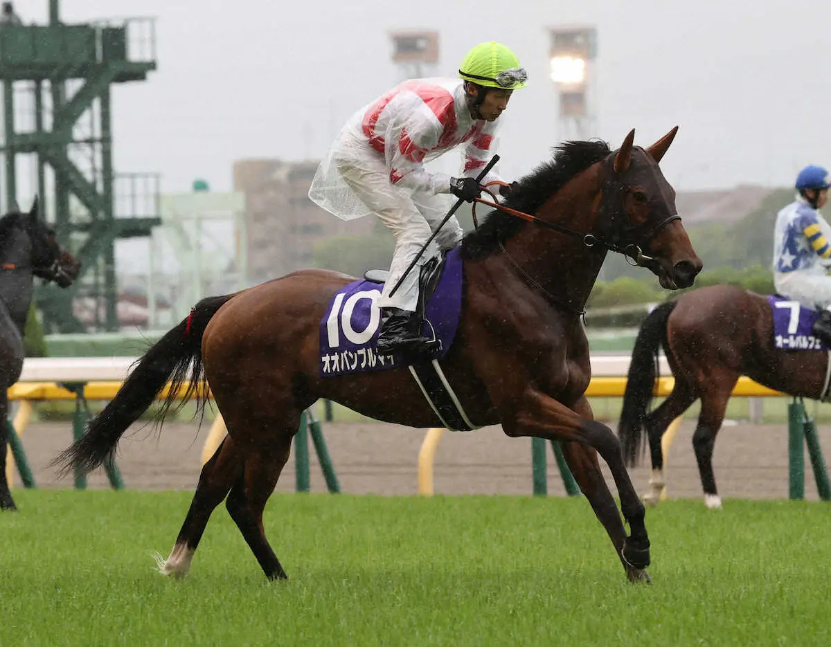 オオバンブルマイに武豊！再コンビでキーンランドC参戦　吉村師「豊さんに乗ってもらえるのはありがたい」