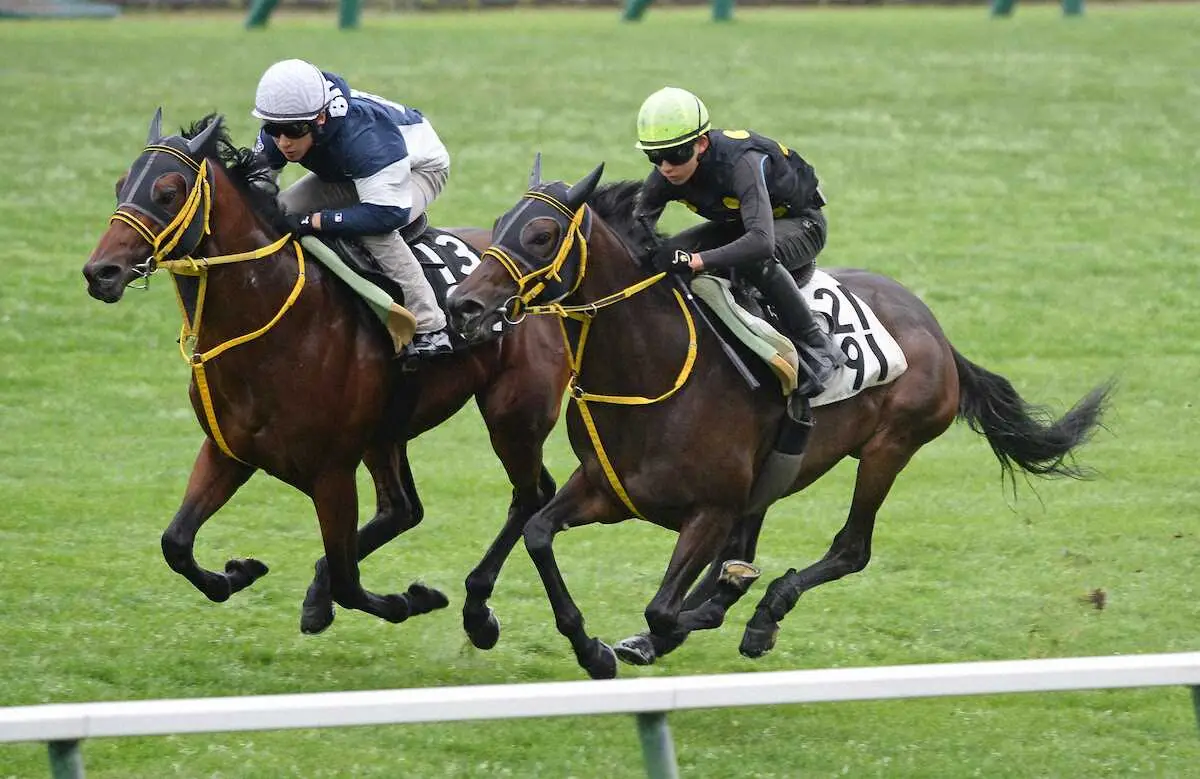 高杉を背に、札幌芝コース併せ馬で追い切るモズゴールドバレル（手前）（撮影・千葉茂）