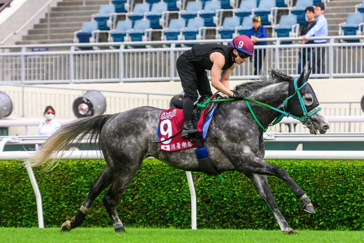 香港遠征明けのマッドクール　スプリンターズS直行　春秋スプリントG1連覇を目指す