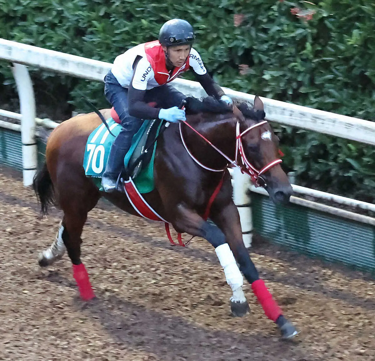 名牝リスグラシューの初子シュヴェルトリリエが新潟4Rで競走中止　右第1趾骨粉砕骨折で予後不良