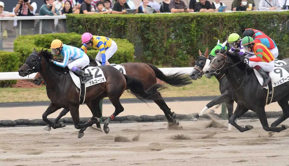 札幌競馬　8R3歳1勝クラスダート1700　ゴール前で抜け出して逃げて勝った（12）オルゴーリオ武豊騎手　　　（撮影・千葉　茂）　　　