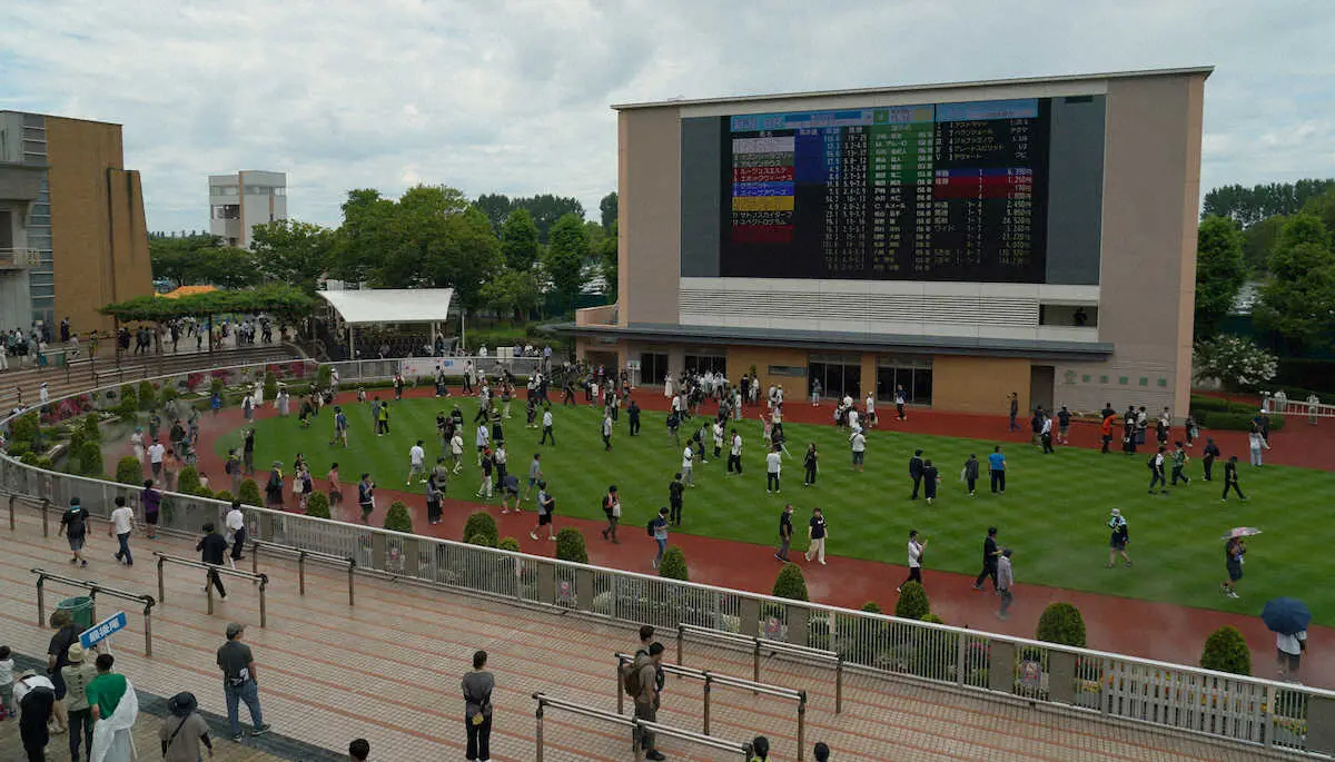 新潟競馬で“時間拡大効果”　昨年の開幕初日比較で売り上げは120％超