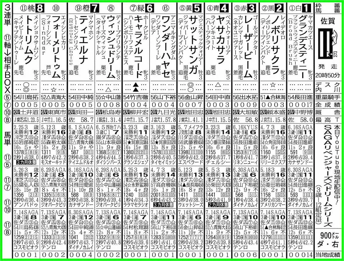 【佐賀11R・SAGAリベンジャーズ×ドリームシリーズ】トトリムク　先行策で勝機