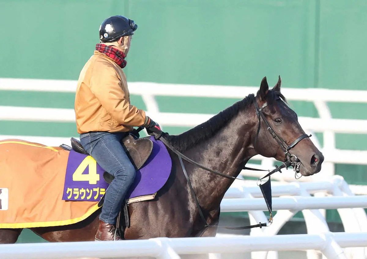 マーキュリーCを制したクラウンプライド、今年も韓国遠征へ　コリアC連覇を目指す