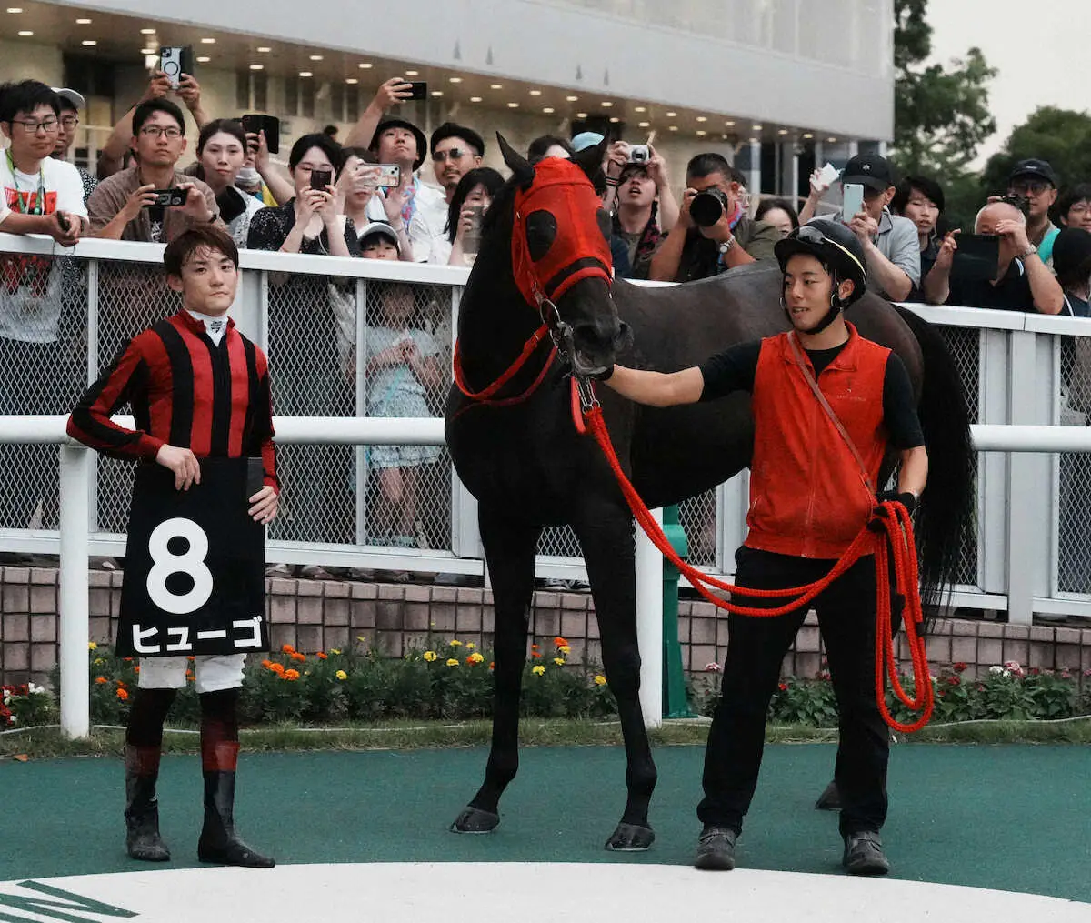 レースを制したヒューゴとJRA初勝利を挙げた笹川（左）＝撮影・郡司　修