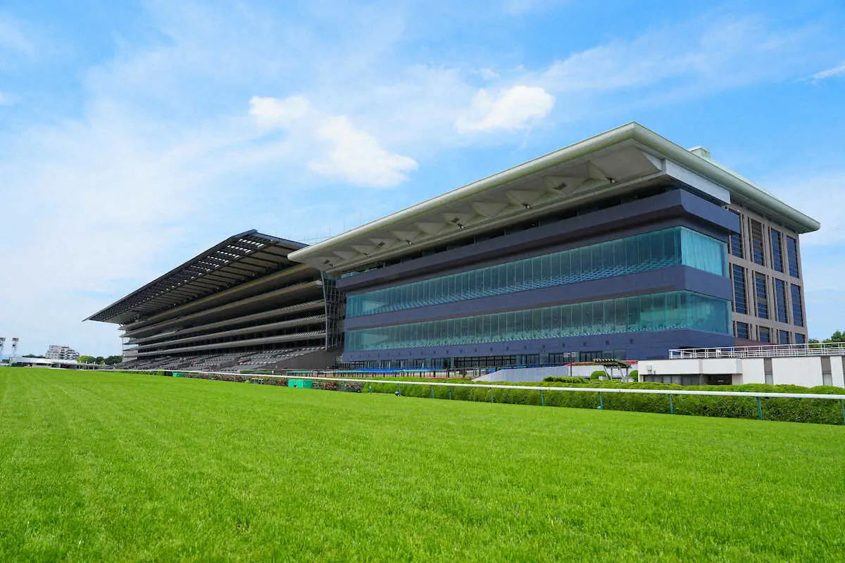 東京競馬場