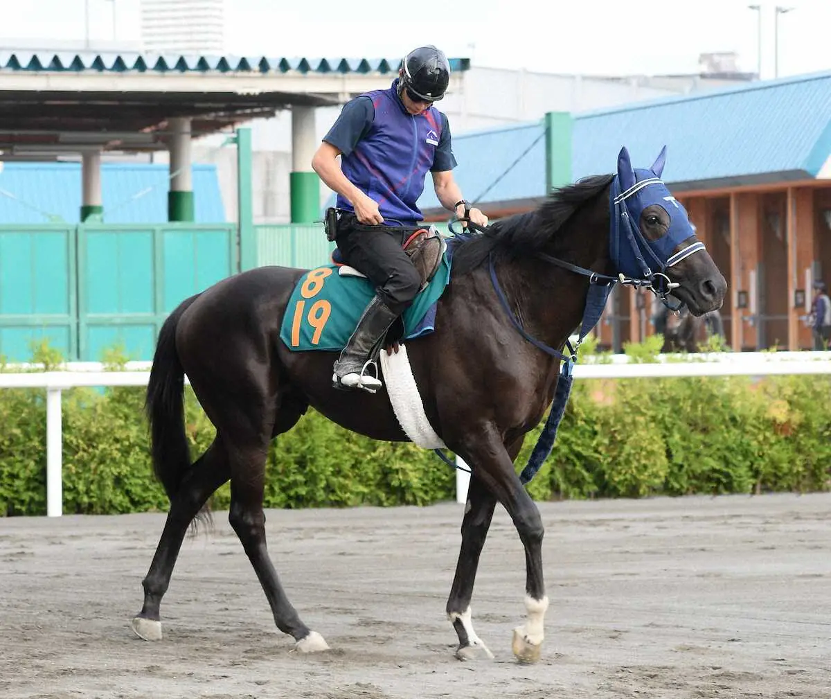 【札幌新馬戦】良血リアンベーレ　出世レースで一本勝ち！さばき軽く札幌の洋芝合う