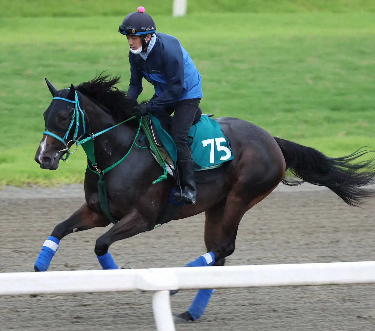 【新潟新馬戦】サリーチェ　偉大なきょうだいに続く！1週前追い後に動き一変