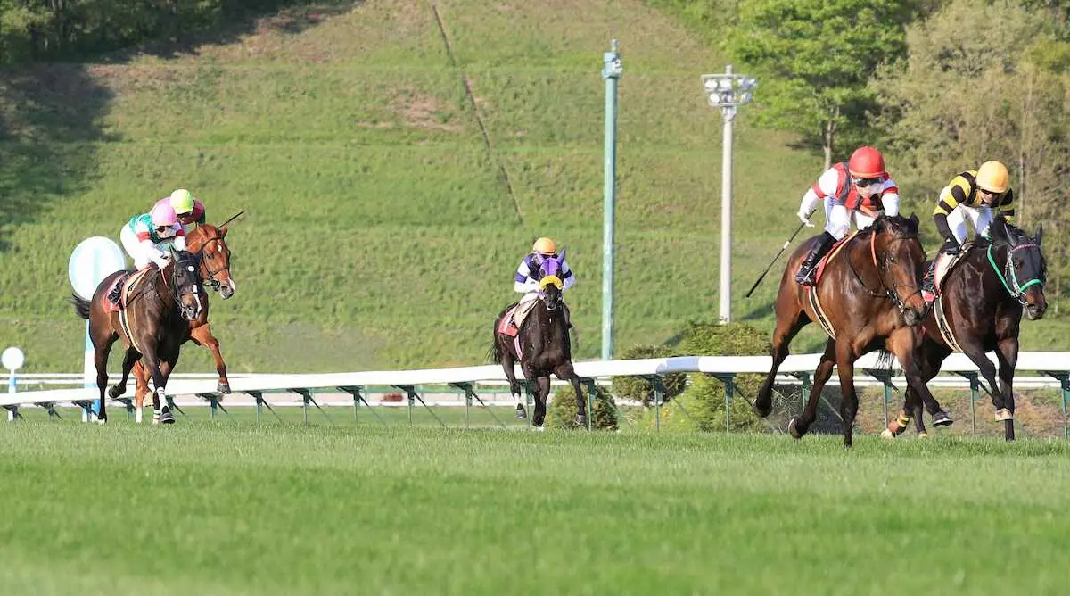 盛岡競馬場の芝コース。JRAの競馬場とは違い、内に芝、外にダートコースが設けられている