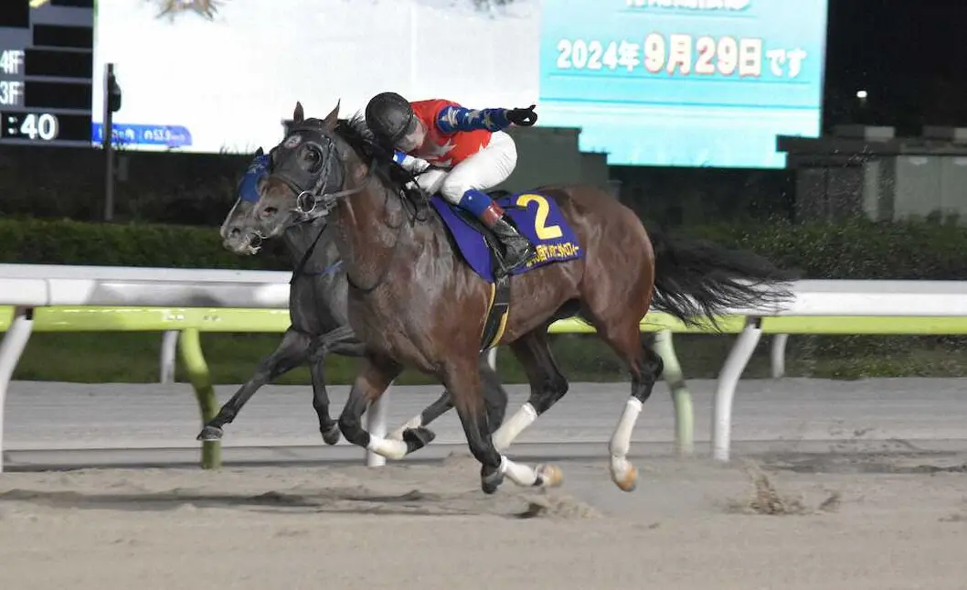 【大井競馬　サンタアニタトロフィー】デュードヴァン重賞2勝目　雨を味方に突き抜けた