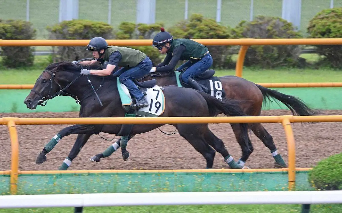 【エルムS】サヴァ　重賞初制覇へ強烈な加速！暑さ苦手な大型馬、函館で元気