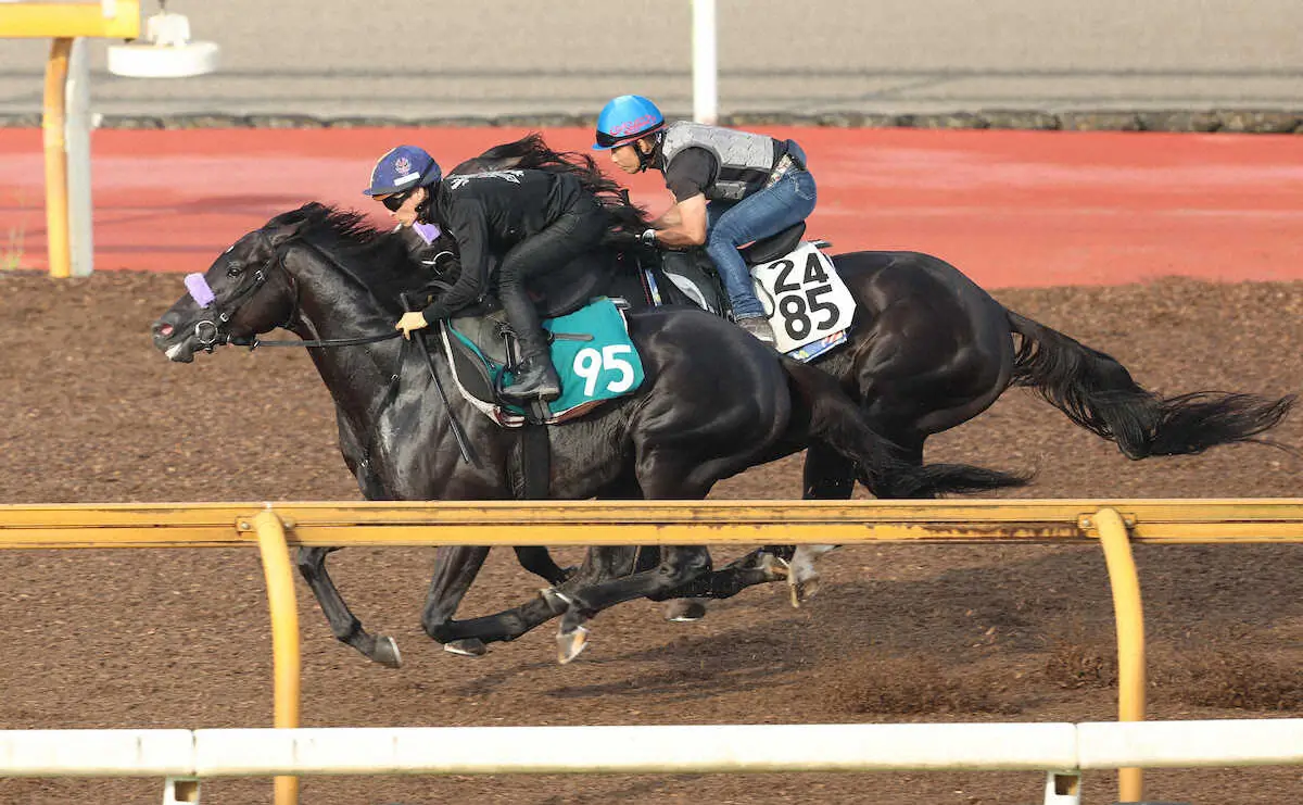 川田将雅騎手を背にCウッドを併せ馬で追い切るジェゼロ