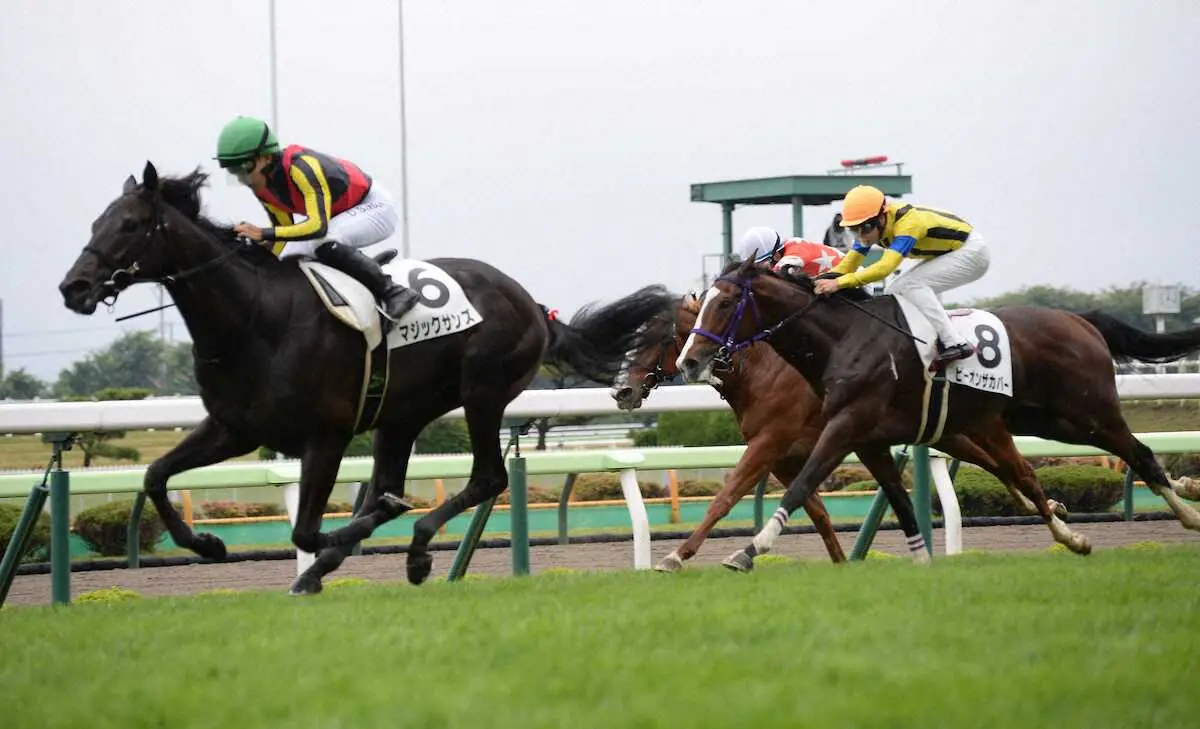 函館で新馬勝ちのマジックサンズ　連勝を期して札幌2歳S参戦