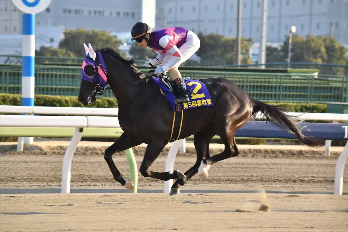 3歳時に米G1サンタアニタダービー2着の実績がある大井マンダリンヒーロー