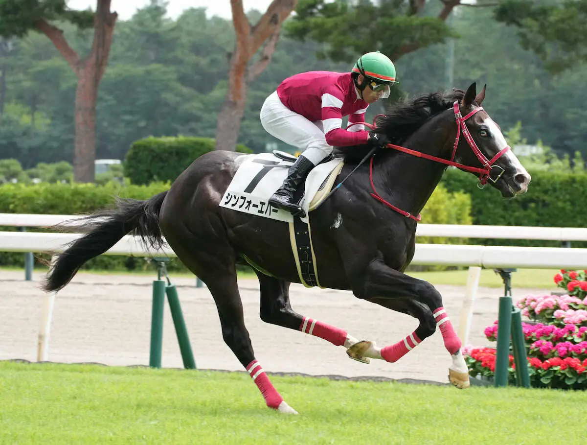 【新潟4R新馬戦】シンフォーエバーが逃げ切りV　森秀厩舎先週から新馬戦出走機会4連勝