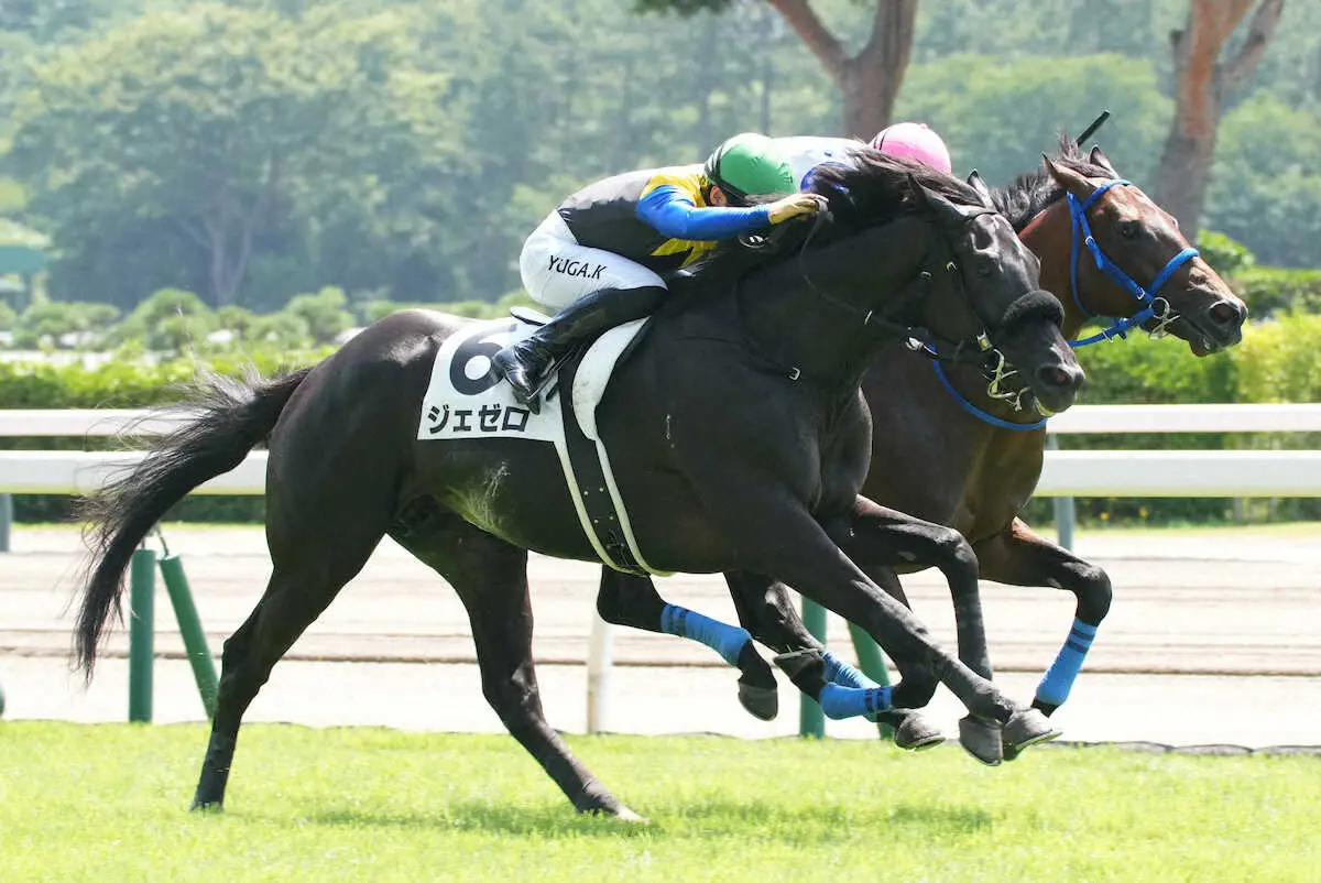 【新潟新馬戦】ジェゼロ　断然人気に応えた　上がり3F最速33秒0の脚で前を捉える