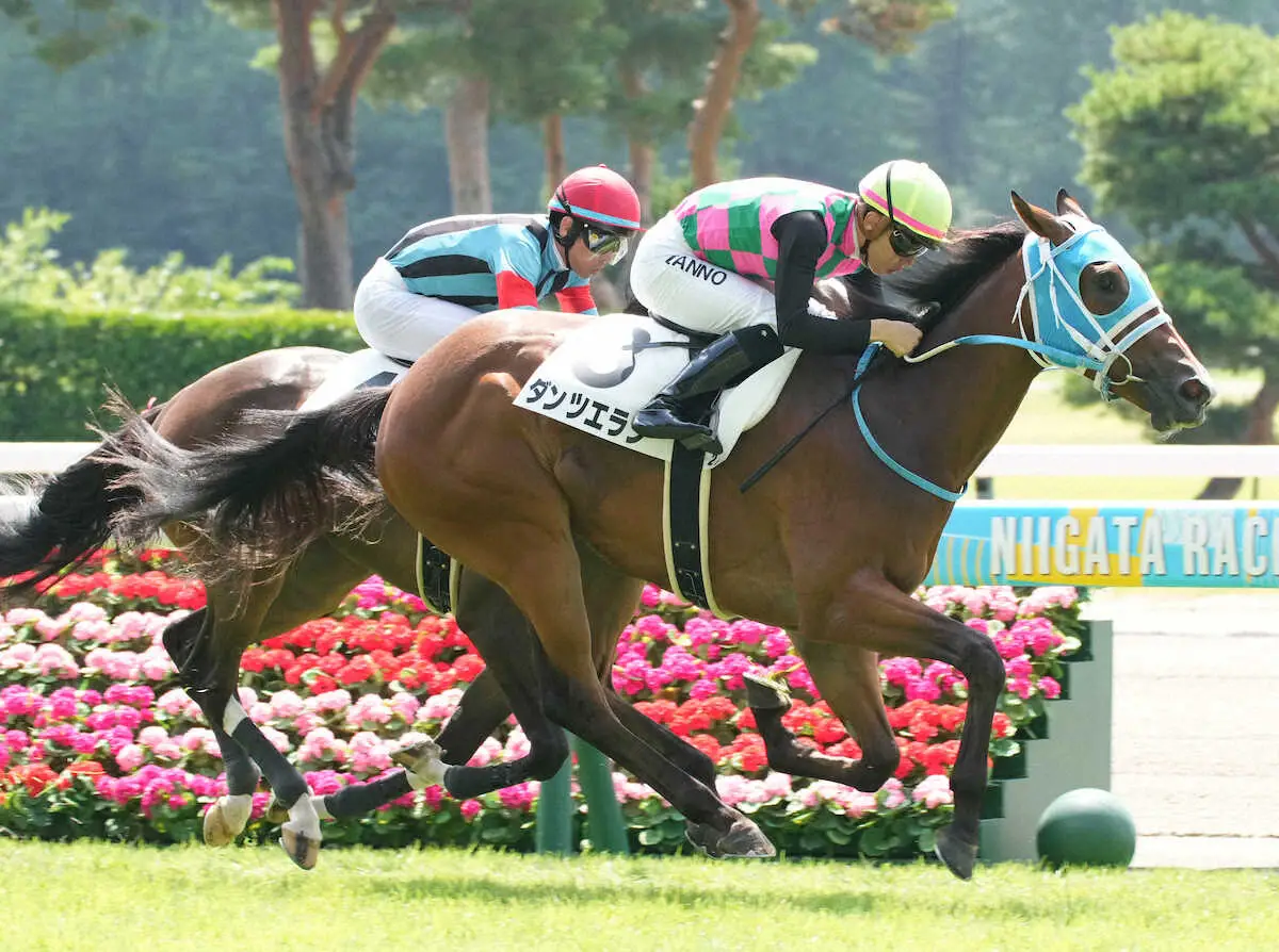 【新潟新馬戦】ダンツエラン　しぶとく伸びた　団野「幼さがある中でこのパフォーマンス　楽しみ」