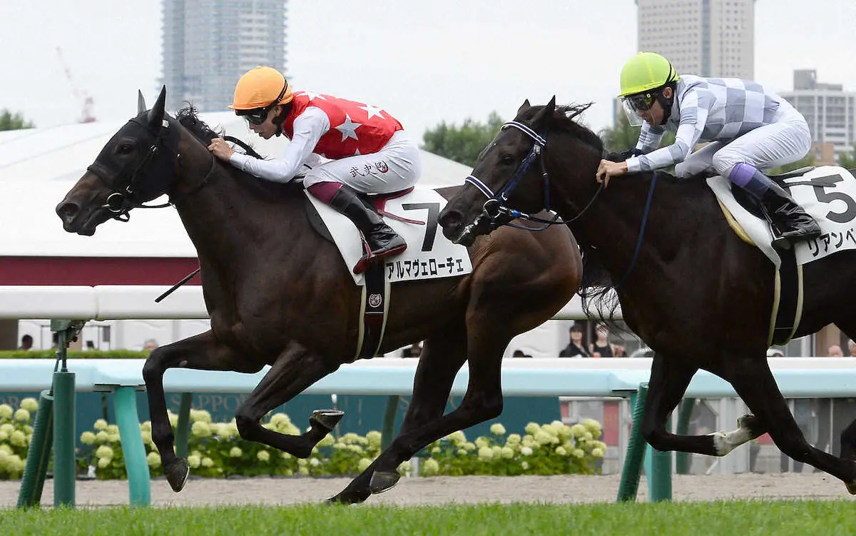 【札幌新馬戦】アルマヴェローチェ　後続振り切った　横山武「センスだけで勝てました」