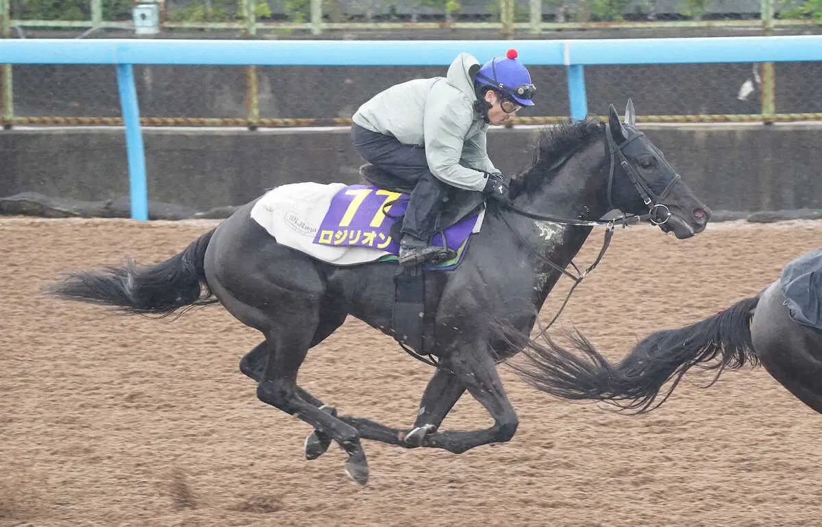 【関屋記念】ロジリオン　重賞で上位を争える力あり　永野「凄く乗りやすい」