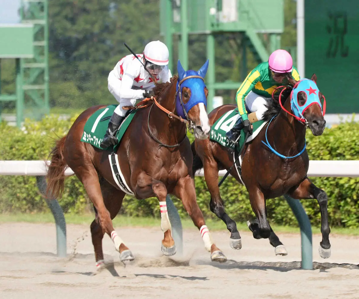 ＜新潟7RレパードS＞レースを制したミッキーファイト（左）＝撮影・郡司　修