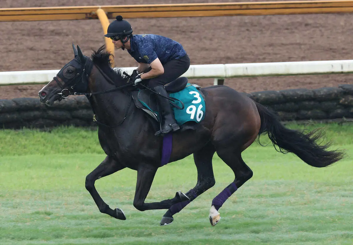 友道厩舎の期待馬カムニャックが11日中京でデビュー予定