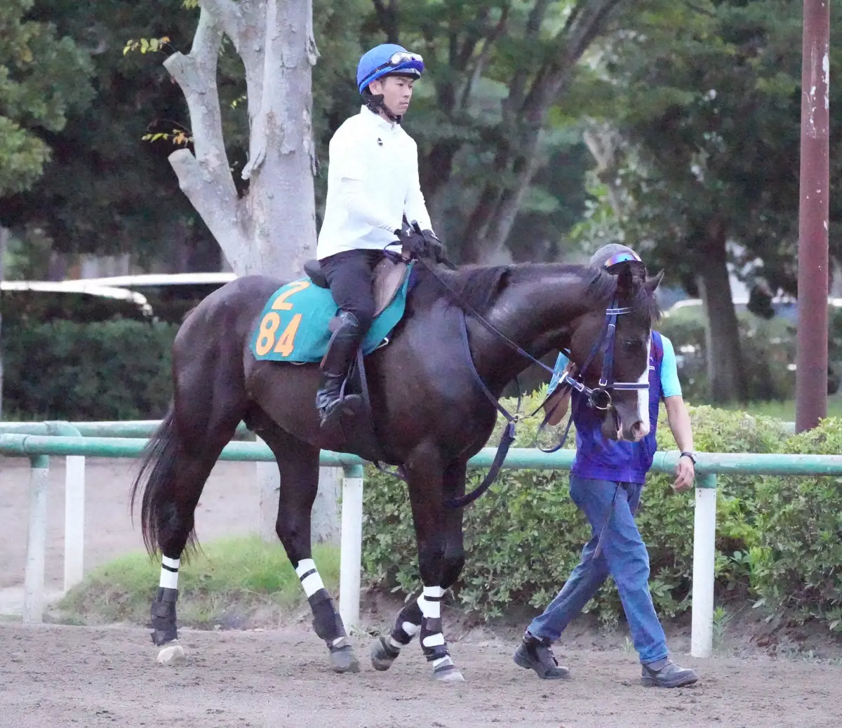 【新潟新馬戦】期待の良血マスカレードボール“極上の切れ味”　素質の高さに手塚師も驚き