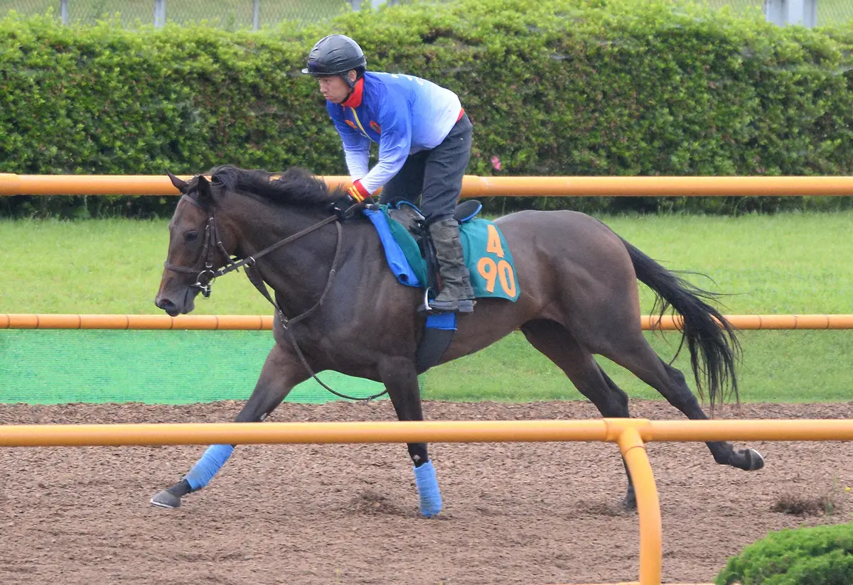 【札幌新馬戦】良血牝馬ラルガメンテ実力披露だ!　ドゥラメンテのラストクロップいざ出陣へ