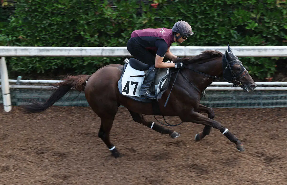 【関屋記念】津村　アスクコンナモンダで復帰Vへ　左鎖骨のプレート除去「リフレッシュできた」