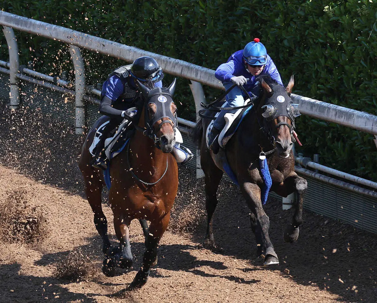 復活を期す重賞2勝馬ヴェルトライゼンデ　毎日王冠で始動