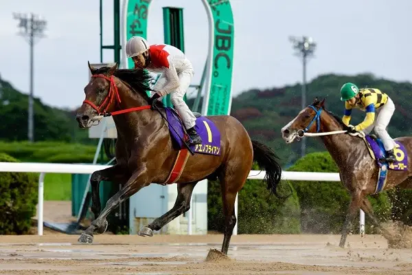 【佐賀・第4回九州チャンピオンシップ】11日発走　アエノブライアン重賞2連勝へ！　予想印を公開