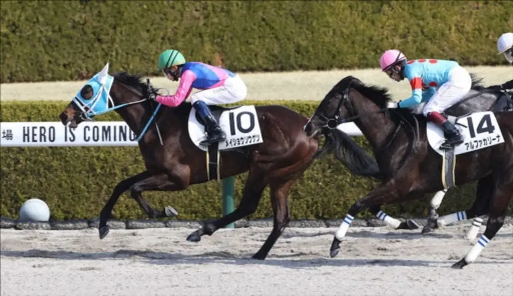 メイショウソウゲツに騎乗し初騎乗初勝利した際の角田大河騎手（左）