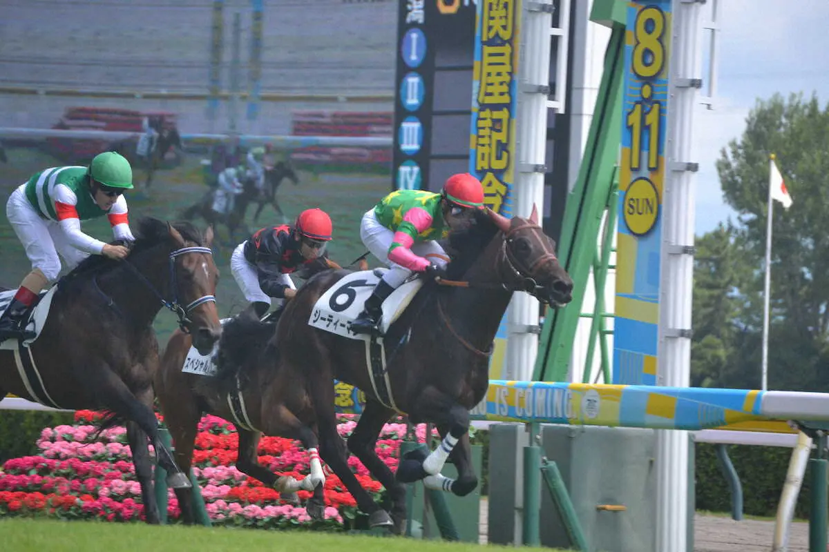 　新潟競馬5R・2歳新馬戦を快勝したジーティーマン（ゼッケン6番）