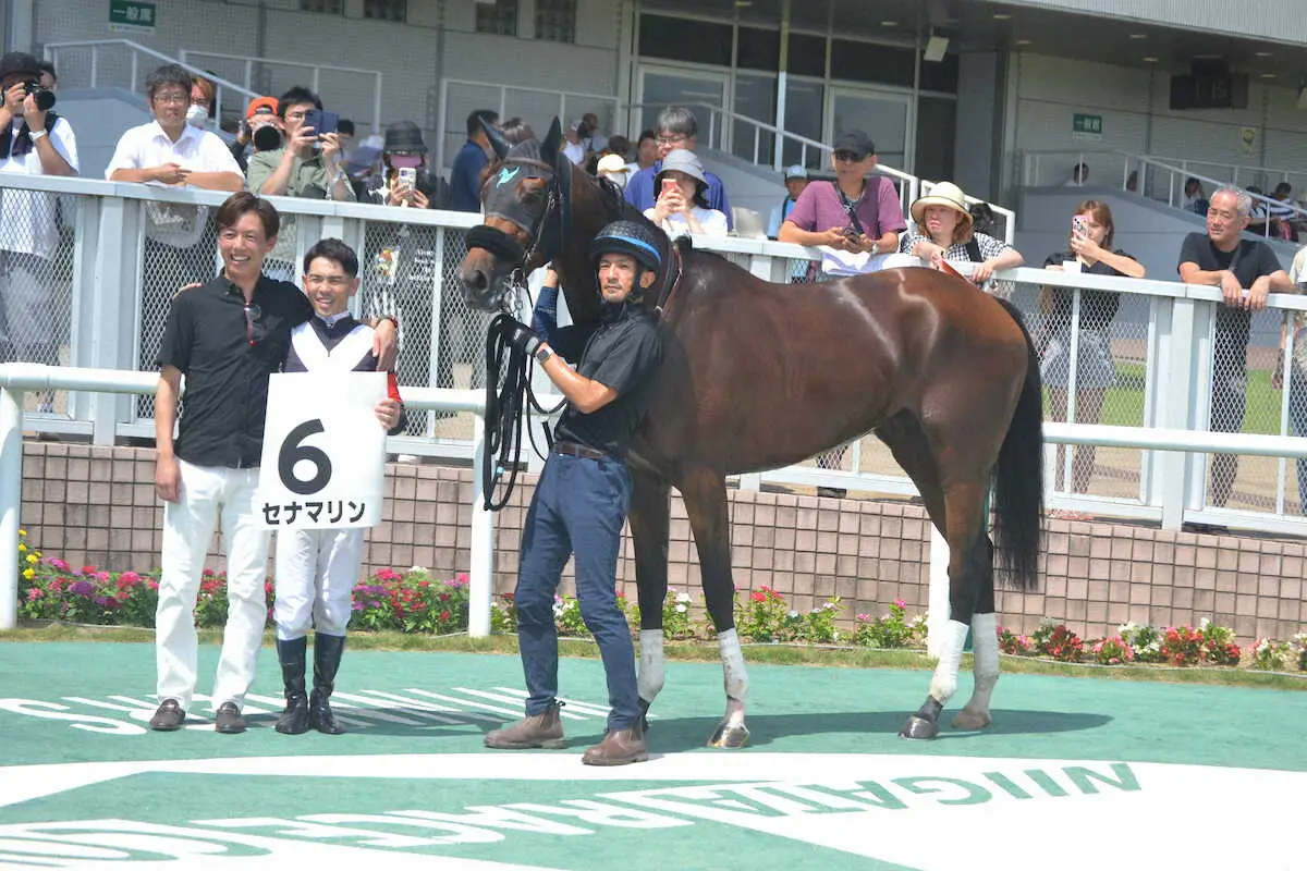 　新潟競馬6R・2歳新馬戦を快勝したセナマリン　安田師（左）と戸崎は肩を組んで笑顔　（10日、新潟競馬場で。撮影・小田　哲也）